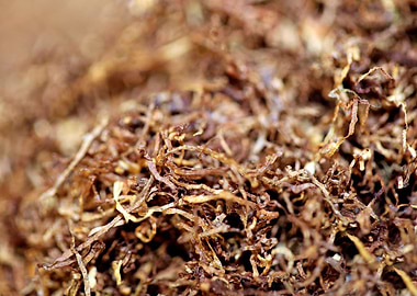 Rolling tobacco wallposter