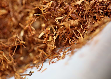 Tobacco rolling leaves