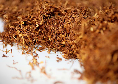 Tobacco rolling leaves