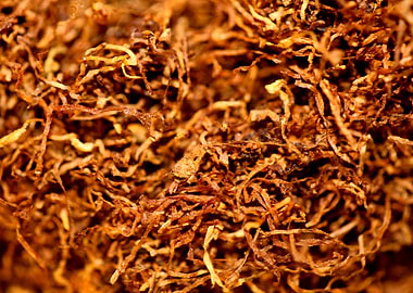Rolling tobacco background