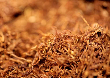 Rolling tobacco background
