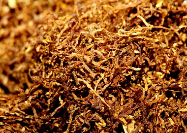 Rolling tobacco wallposter