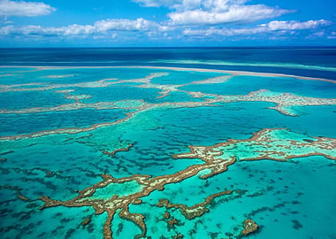 Australia Barrier Reef Sea