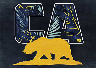 California Bear Palm Trees