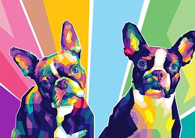 Dog Pet Popart
