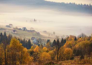 Autumn foggy landscape