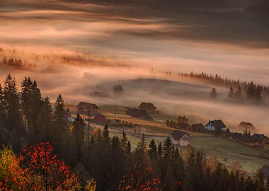 Autumn misty landscape