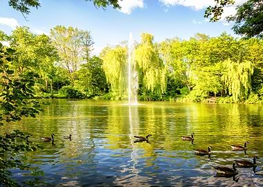 Lake fountain nature park