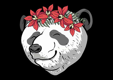 Panda Bear