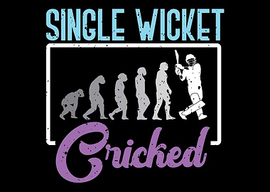 Single Wicket Cricket Play
