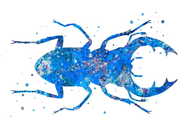 Stag beetle blue abstract