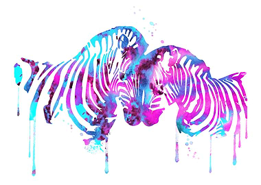 Zebra in love