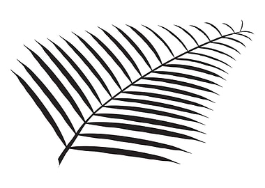 Palm Branch And Leaves