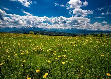 Spring in Tatra Mountains