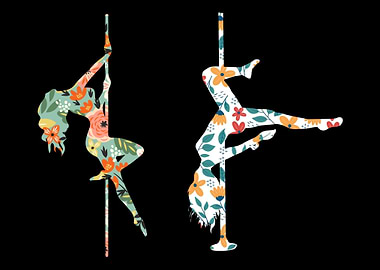 Pole Dance Pole Fitness