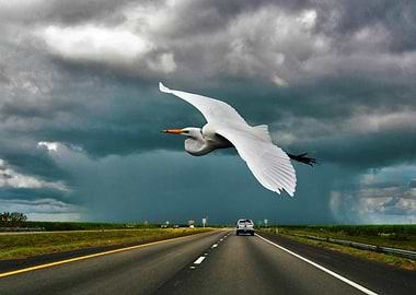 beating the storm in Fl