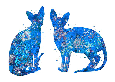Sphynx Cat cute blue art