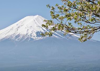 Scenic views of Mt Fuji