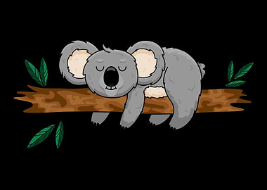 Koala Bear Koalas