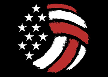 Volleyball ball USA