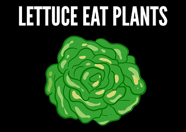 Lettuce eat plants Lettuce
