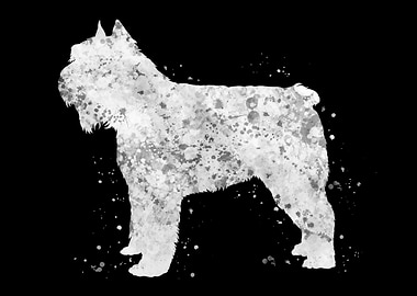 Bouvier des flandres dog