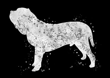 Neapolitan mastiff dog