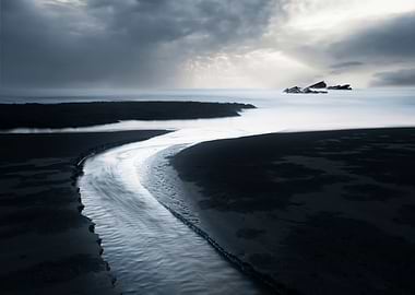 Algae Reef Landscape