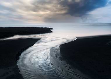 Algae Reef Landscape