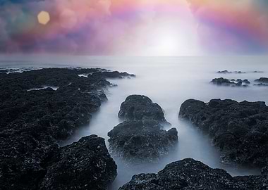 Algae Reef Landscape