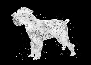 Brussels griffon dog