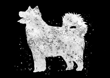 Alaskan Malamute dog