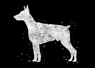 Doberman Pinscher dog