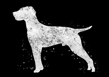 Hungarian Vizsla dog