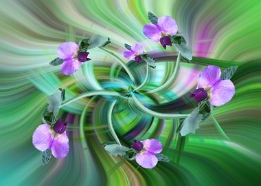 wild cyclamen twirl 4