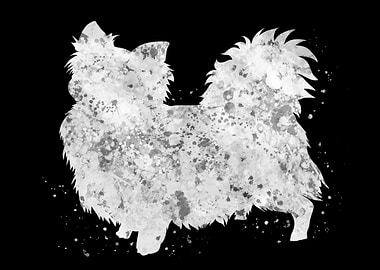 Chihuahua long hair dog