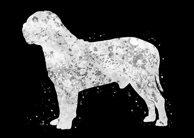 Dogue de bordeaux dog