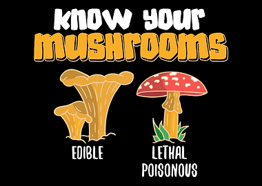 Mushroom Fungi Foraging