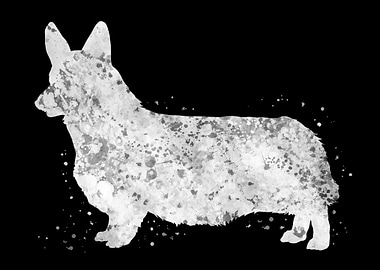 Corgi dog black and white