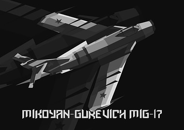 aircraft mig 17