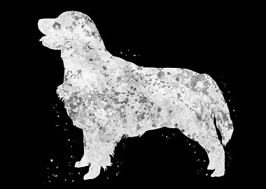 Golden Retriever dog