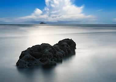 Taiwan Algae Reef Landscap