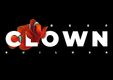 Clownfish Marine Fish