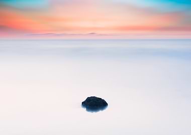 Taiwan Algae Reef Landscap