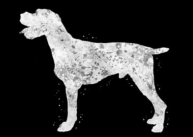German Wirehaired Pointer