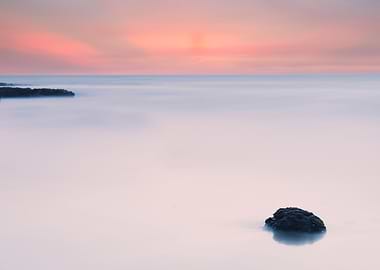 Taiwan Algae Reef Landscap
