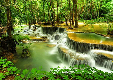 Waterfall Forest Nature