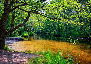 Summer view, wild river
