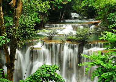 Waterfall Forest Nature