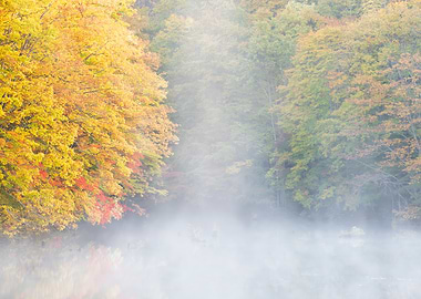 Autumn Lake View in Japan